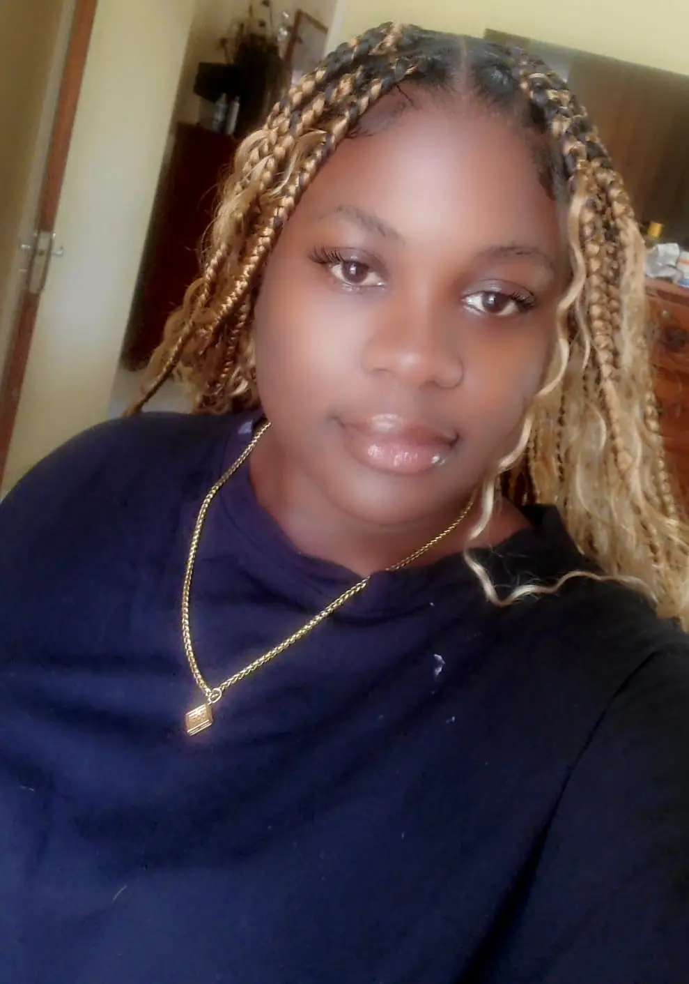 website owner